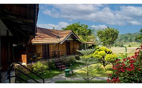 Mystery Maze Resort And Spa